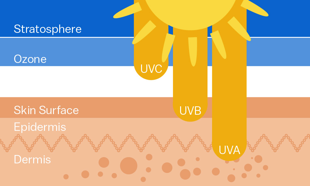 UVA，UVB和UVC之間有什么區別