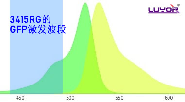 用GFP的激發光激發YFP是什么顏色？