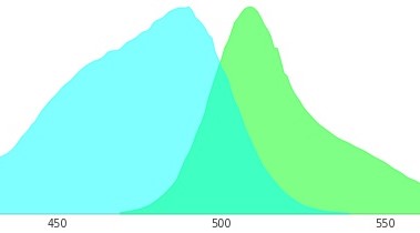 綠色熒光蛋白EX488和EM510是指什么？
