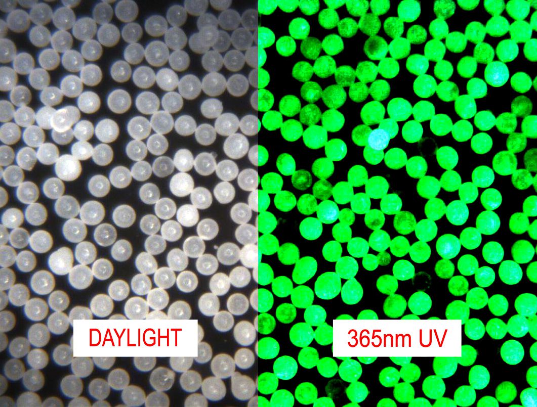 何為熒光微球？ 